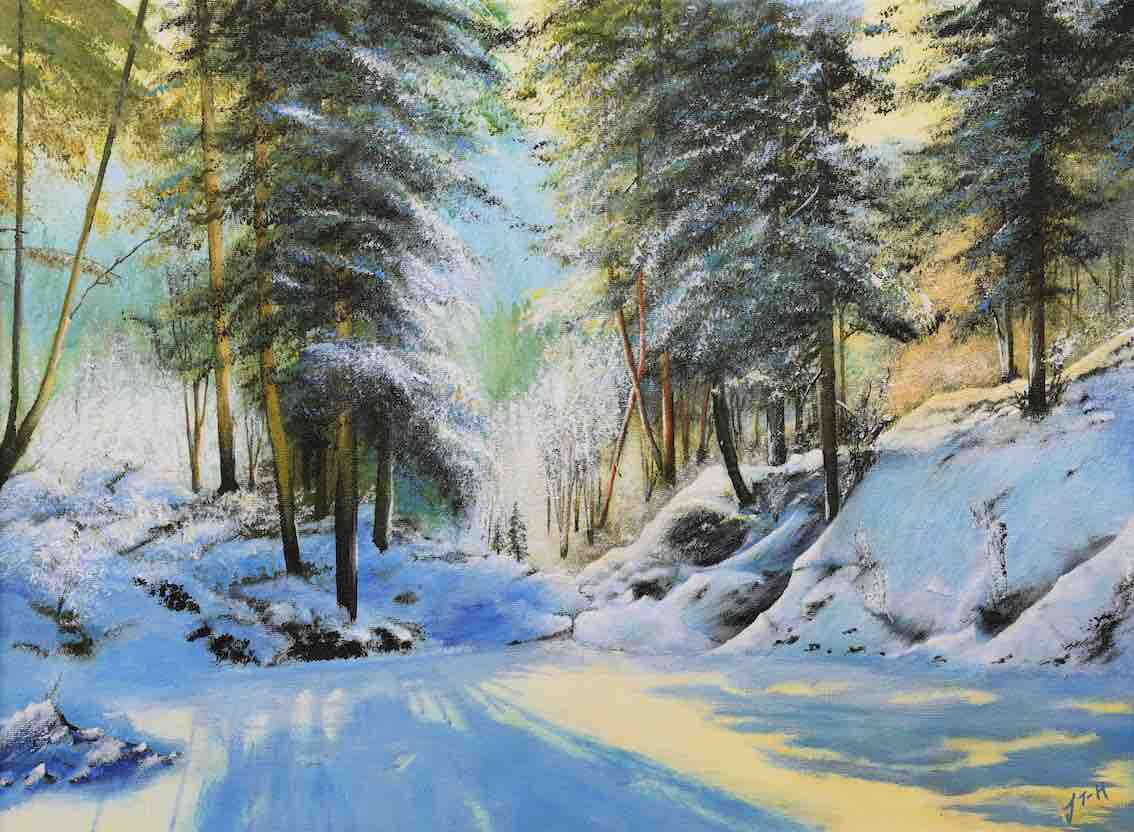 Winter in the Forest